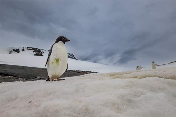 Turkiye's 10th National Antarctic Scientific Expedition has come to an end