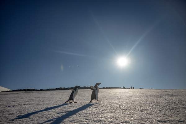 Turkiye's 10th National Antarctic Scientific Expedition has come to an end