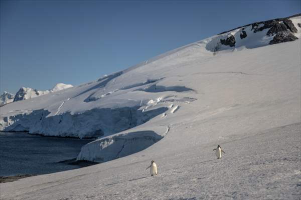 Turkiye's 10th National Antarctic Scientific Expedition has come to an end