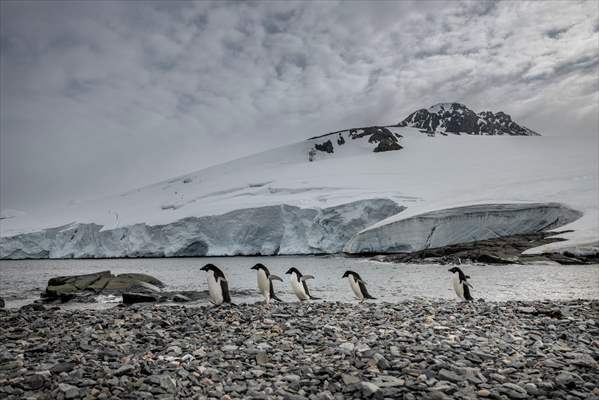 Turkiye's 10th National Antarctic Scientific Expedition has come to an end