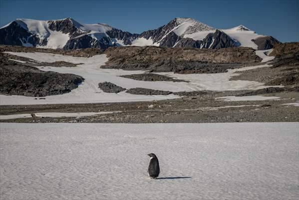 Turkiye's 10th National Antarctic Scientific Expedition has come to an end