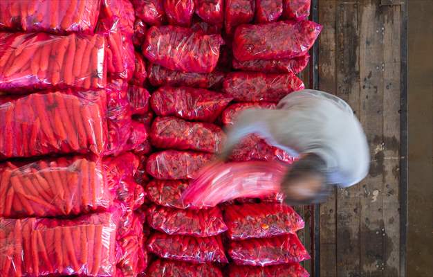 Hatay’da havuç hasadı başladı