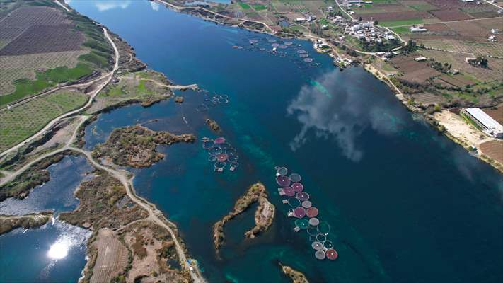 Fırat sularında kafes balıkçılığı