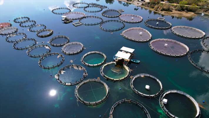 Fırat sularında kafes balıkçılığı