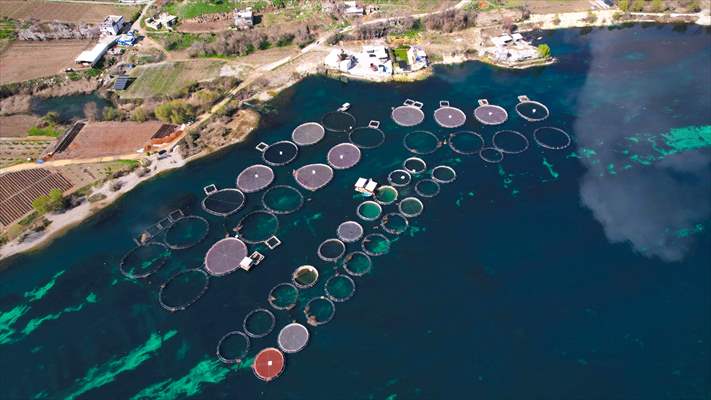 Fırat sularında kafes balıkçılığı