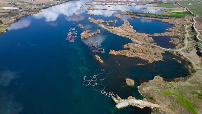 Fırat sularında kafes balıkçılığı