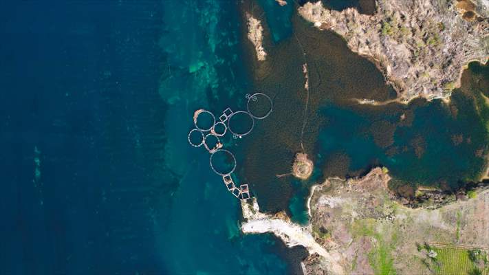 Fırat sularında kafes balıkçılığı