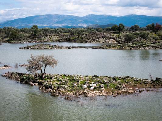 Haydarlar Gölü yağışlarla yeniden canlandı