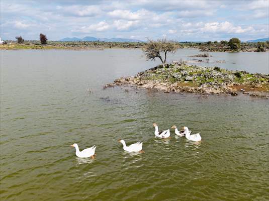 Haydarlar Gölü yağışlarla yeniden canlandı