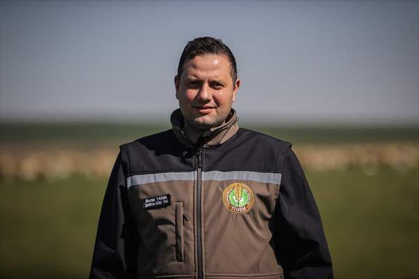 TİGEM'in Karacabey tesislerinde kuzu doğumları yüzde 40'ın üzerinde ikizlik oranıyla sürüyor