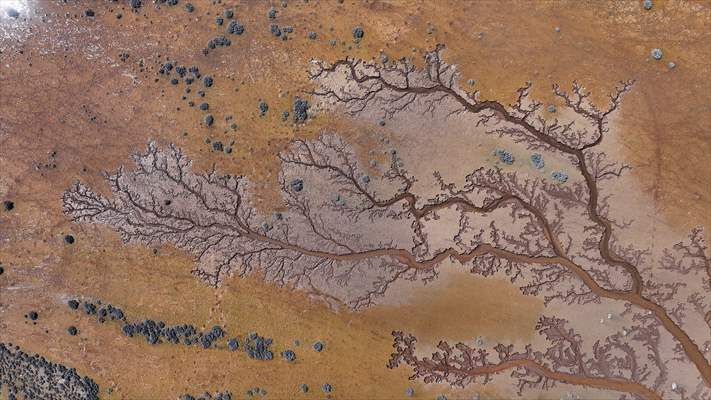 Tuzla Palas Gölü'nü besleyen suların oluşturduğu izler ağaç dallarını andırıyor