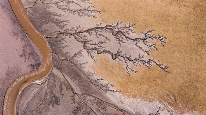 Tuzla Palas Gölü'nü besleyen suların oluşturduğu izler ağaç dallarını andırıyor