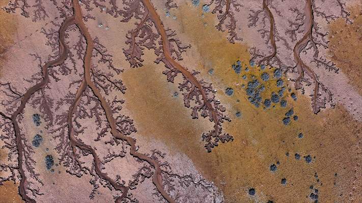 Tuzla Palas Gölü'nü besleyen suların oluşturduğu izler ağaç dallarını andırıyor