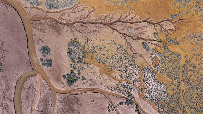 Tuzla Palas Gölü'nü besleyen suların oluşturduğu izler ağaç dallarını andırıyor