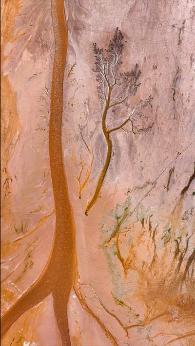 Tuzla Palas Gölü'nü besleyen suların oluşturduğu izler ağaç dallarını andırıyor