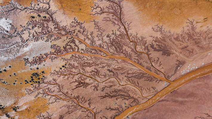 Tuzla Palas Gölü'nü besleyen suların oluşturduğu izler ağaç dallarını andırıyor