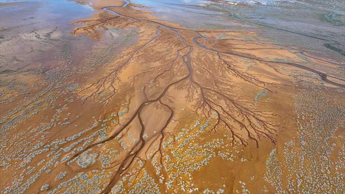 Tuzla Palas Gölü'nü besleyen suların oluşturduğu izler ağaç dallarını andırıyor
