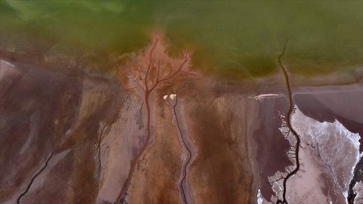 Tuzla Palas Gölü'nü besleyen suların oluşturduğu izler ağaç dallarını andırıyor