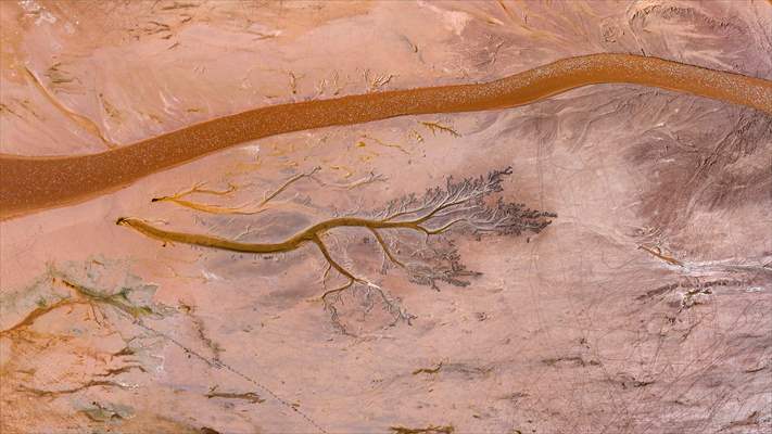 Tuzla Palas Gölü'nü besleyen suların oluşturduğu izler ağaç dallarını andırıyor