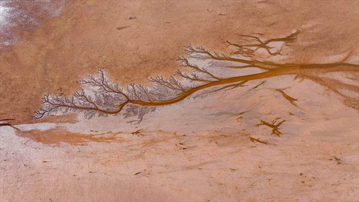 Tuzla Palas Gölü'nü besleyen suların oluşturduğu izler ağaç dallarını andırıyor