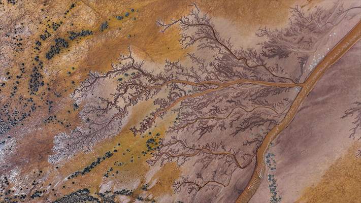 Tuzla Palas Gölü'nü besleyen suların oluşturduğu izler ağaç dallarını andırıyor