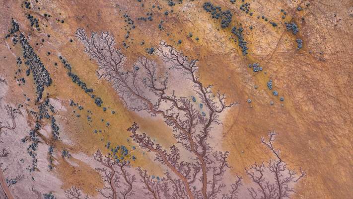Tuzla Palas Gölü'nü besleyen suların oluşturduğu izler ağaç dallarını andırıyor