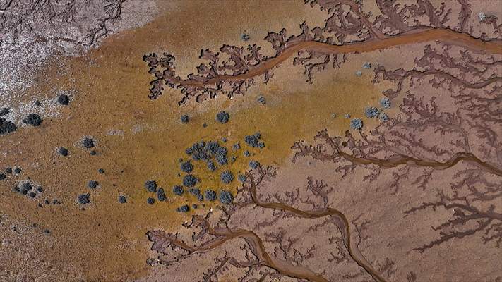 Tuzla Palas Gölü'nü besleyen suların oluşturduğu izler ağaç dallarını andırıyor