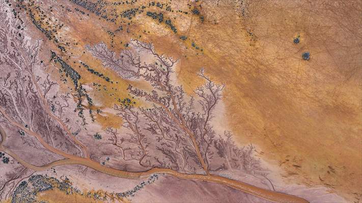 Tuzla Palas Gölü'nü besleyen suların oluşturduğu izler ağaç dallarını andırıyor