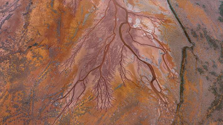 Tuzla Palas Gölü'nü besleyen suların oluşturduğu izler ağaç dallarını andırıyor