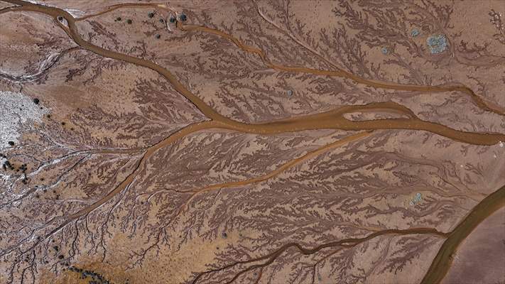 Tuzla Palas Gölü'nü besleyen suların oluşturduğu izler ağaç dallarını andırıyor