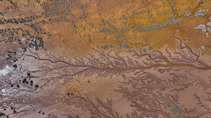 Tuzla Palas Gölü'nü besleyen suların oluşturduğu izler ağaç dallarını andırıyor