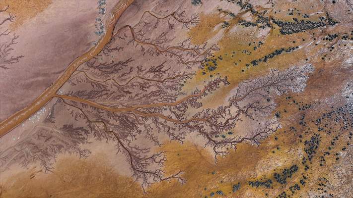 Tuzla Palas Gölü'nü besleyen suların oluşturduğu izler ağaç dallarını andırıyor