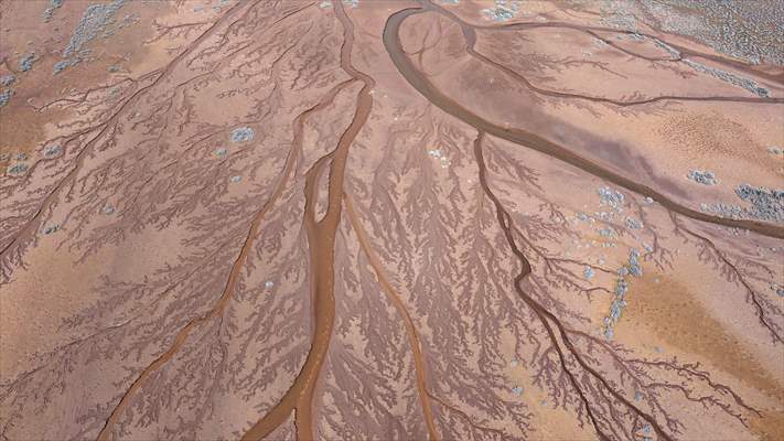 Tuzla Palas Gölü'nü besleyen suların oluşturduğu izler ağaç dallarını andırıyor