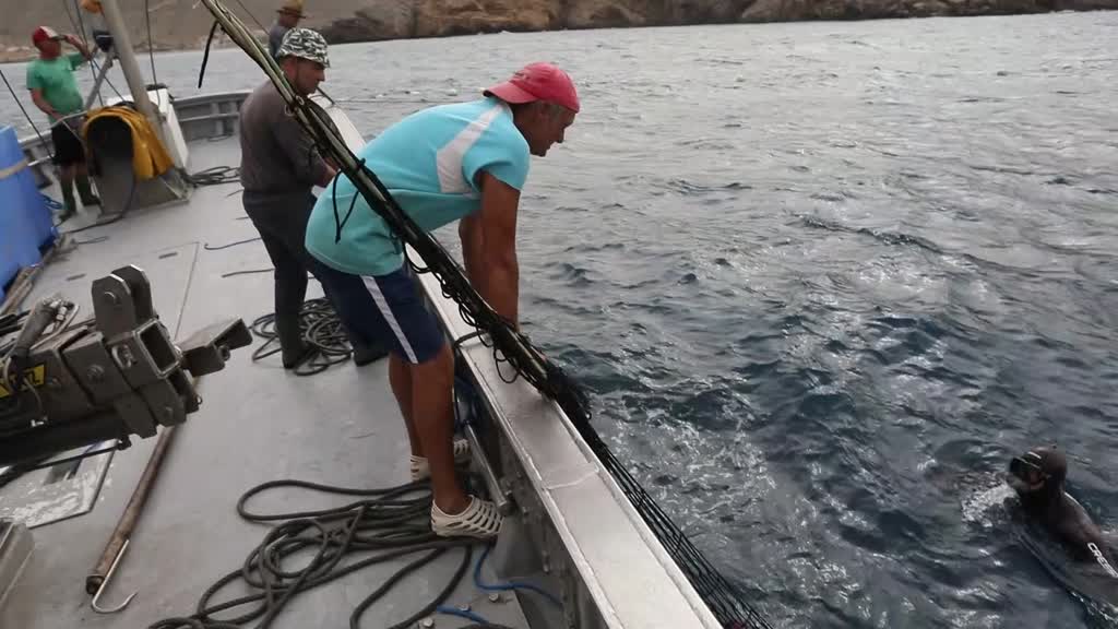 Tuna fishing season with historical ‘almadraba’ method ends in Spain