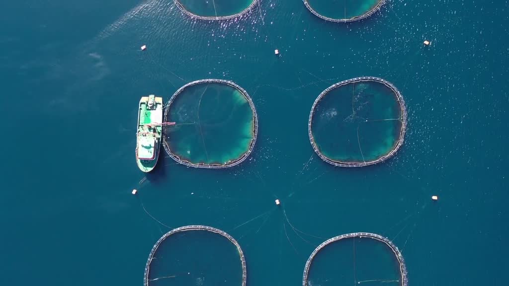 Fish farm cages in Türkiye's Izmir