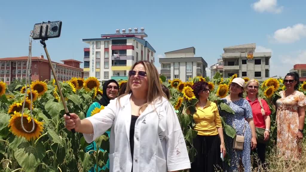 OSMANİYE - Ayçiçeği tarlasında doğum günü kutlaması