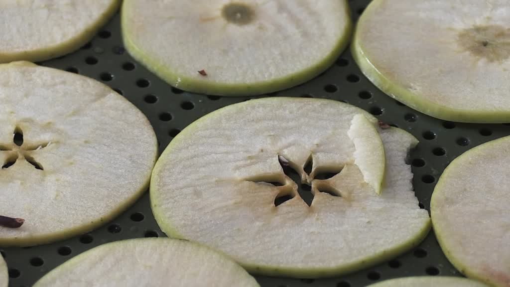 Tunceli'de kurulan meyve sebze kurutma tesisi dar gelirli kadınlara iş kapısı oldu