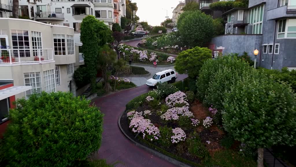 Drone video shows 'world's crookedest' famous street in San Francisco blooms with colorful flowers