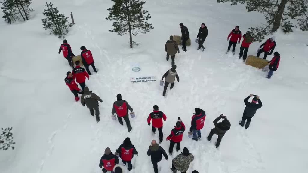 KASTAMONU - Karlı yolları yaban hayvanları için aşıp doğaya yem bıraktılar
