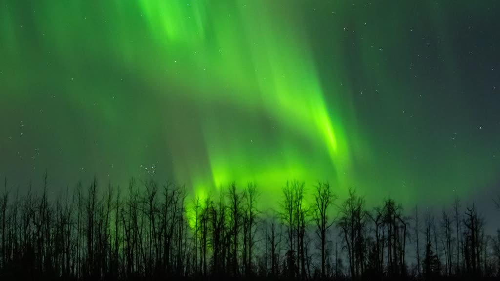 Frozen beauty of Alaska under Northern Lights