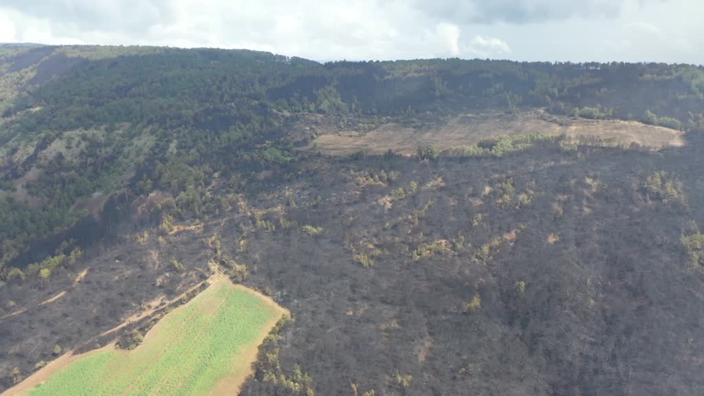 Bilecik'te orman yangınında zarar gören alanlar dronla görüntülendi
