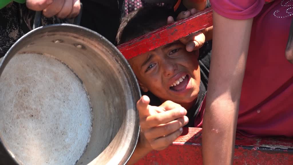 Charity distributes hot meals amid deepening humanitarian crisis in Gaza