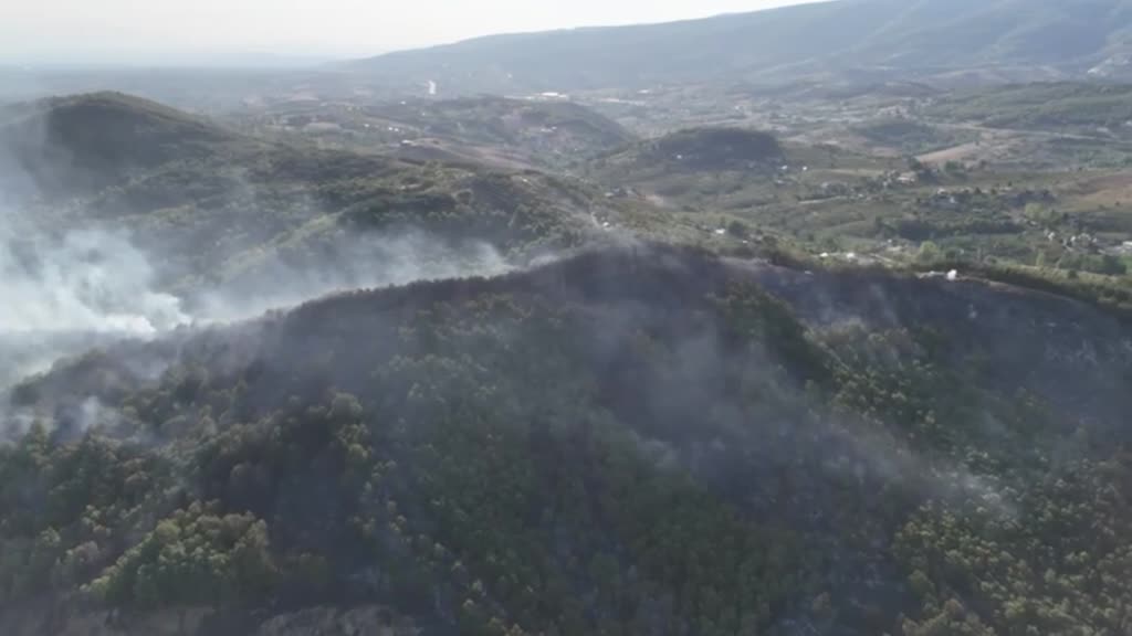 SAKARYA - Hendek ilçesinde ormanlık alanda çıkan yangın kontrol altına alındı - Vali Aslan