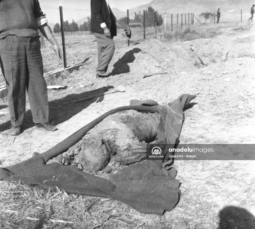 RUM HAREKETLERI VE KATLIAMI