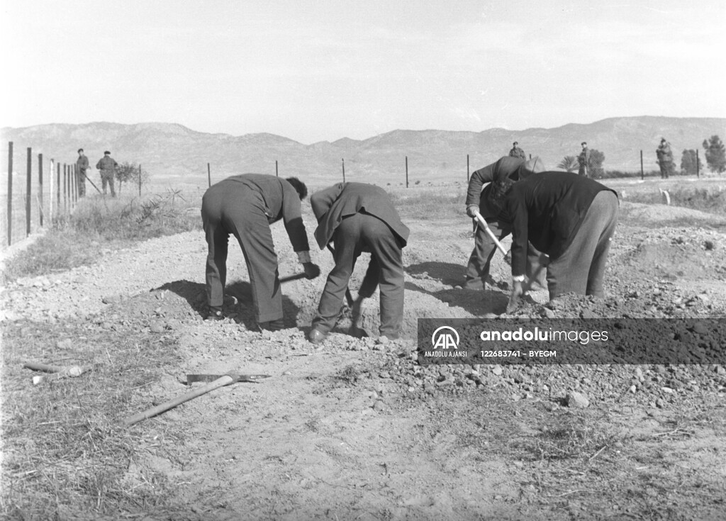 RUM HAREKETLERI VE KATLIAMI