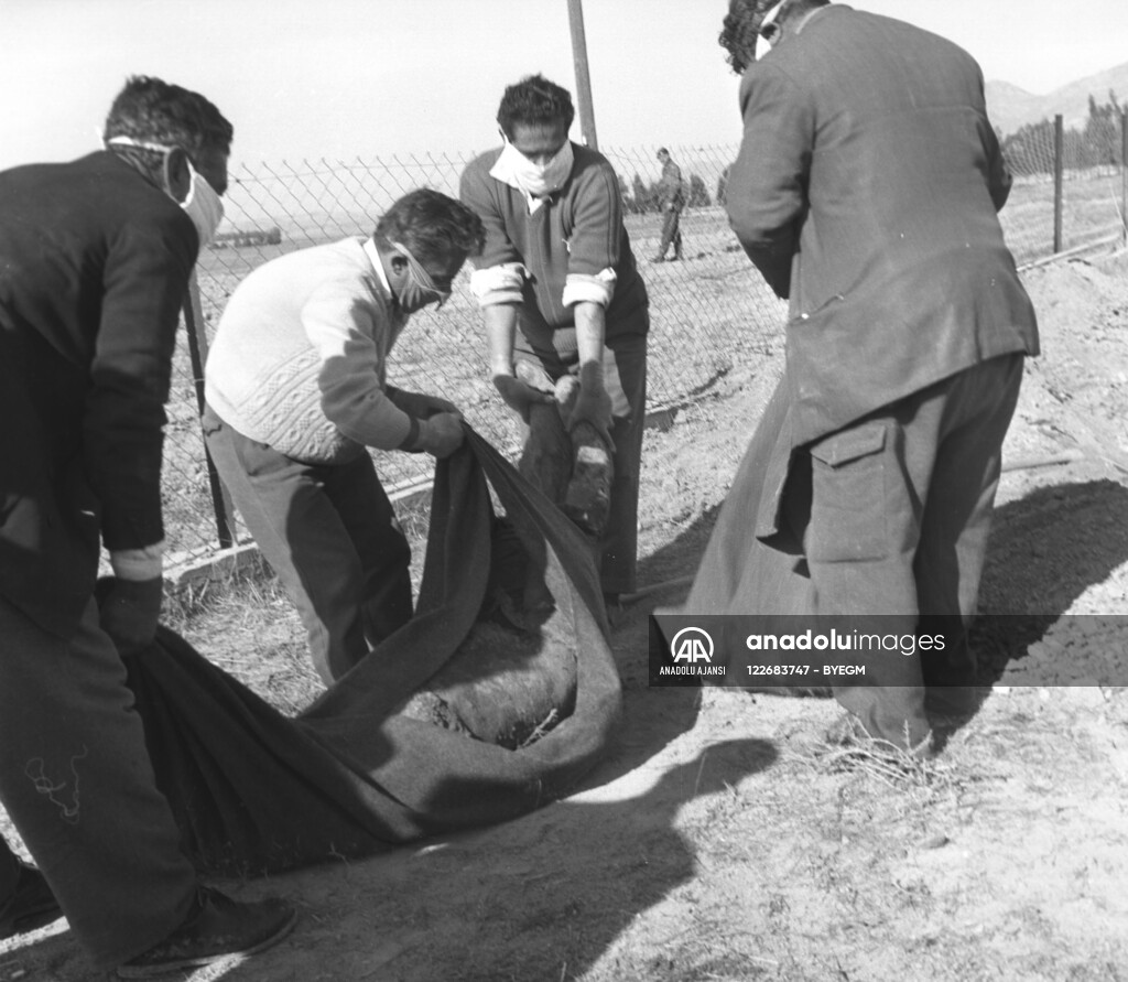 RUM HAREKETLERI VE KATLIAMI