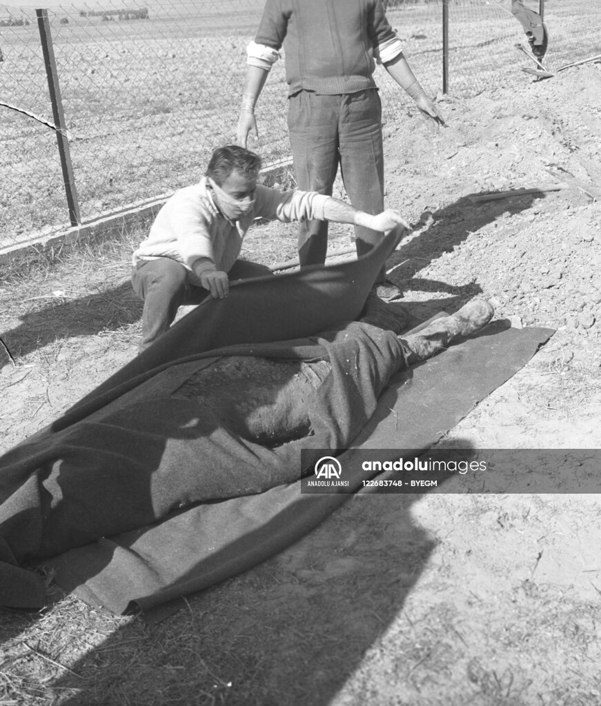 RUM HAREKETLERI VE KATLIAMI