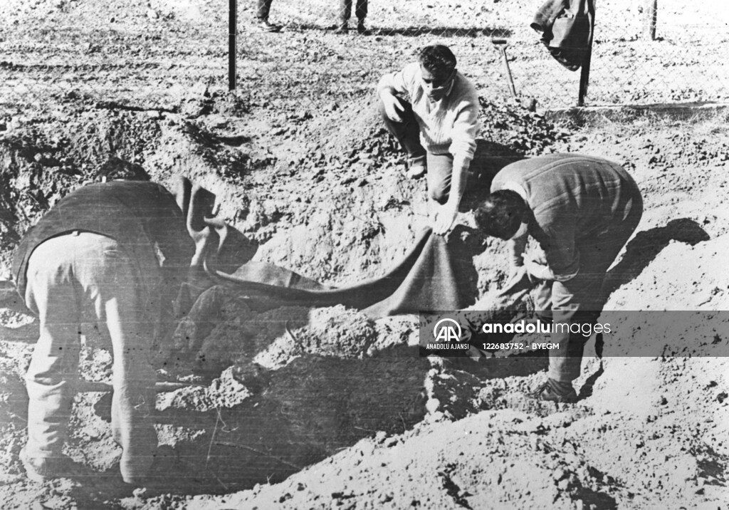 RUM HAREKETLERI VE KATLIAMI