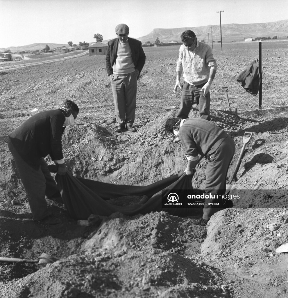 RUM HAREKETLERI VE KATLIAMI