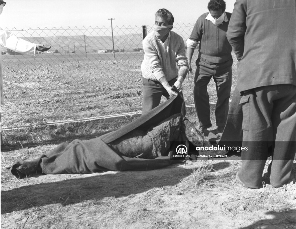 RUM HAREKETLERI VE KATLIAMI